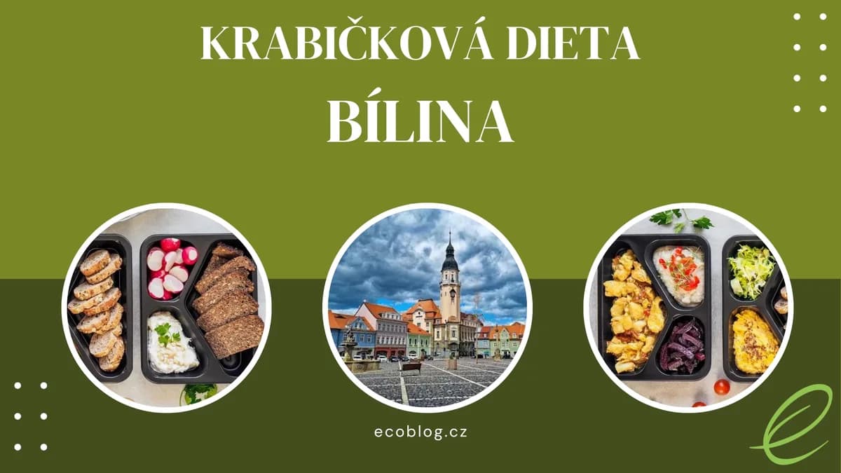 Krabičková dieta Bílina: srovnání 4 nejlepších rozvozů (2026)