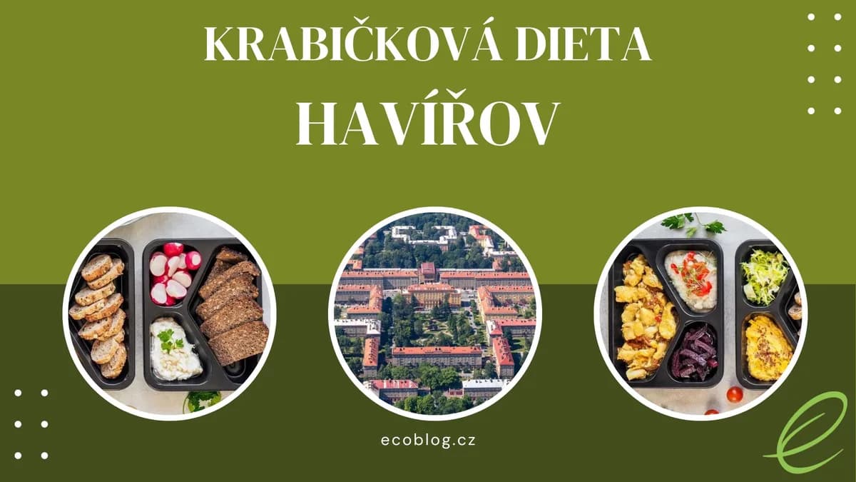 Krabičková dieta Havířov 2026: TOP 8 srovnání a moje doporučení