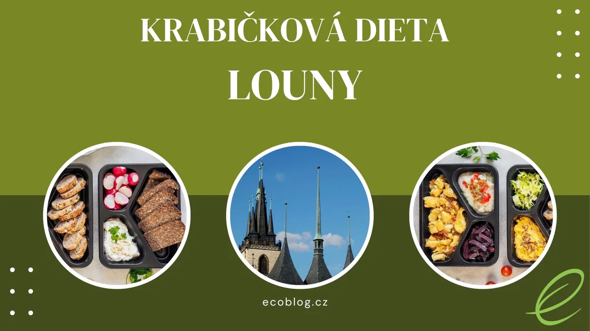 Krabičková dieta Louny: TOP 4 a moje srovnání rozvozu (2026)