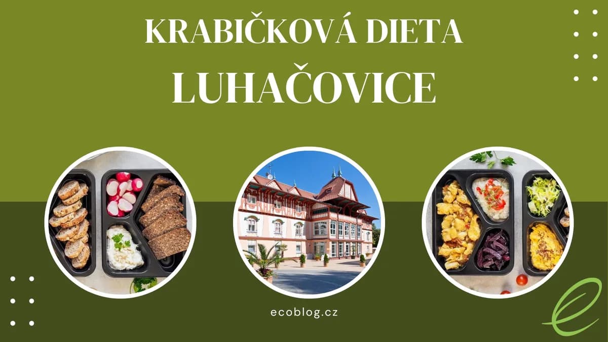 Krabičková dieta Luhačovice 2026: srovnání a TOP 3 rozvozů