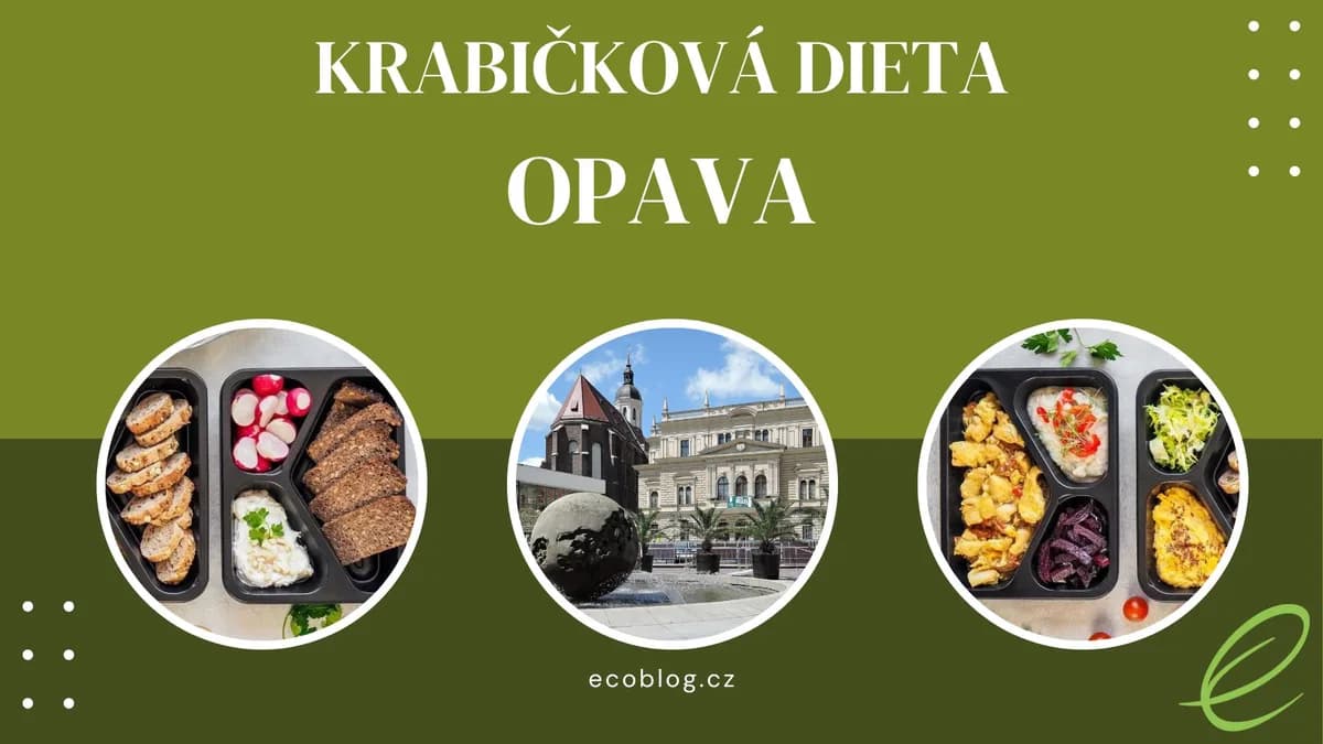 Krabičková dieta Opava: srovnání 9 rozvozů a moje doporučení (2026)