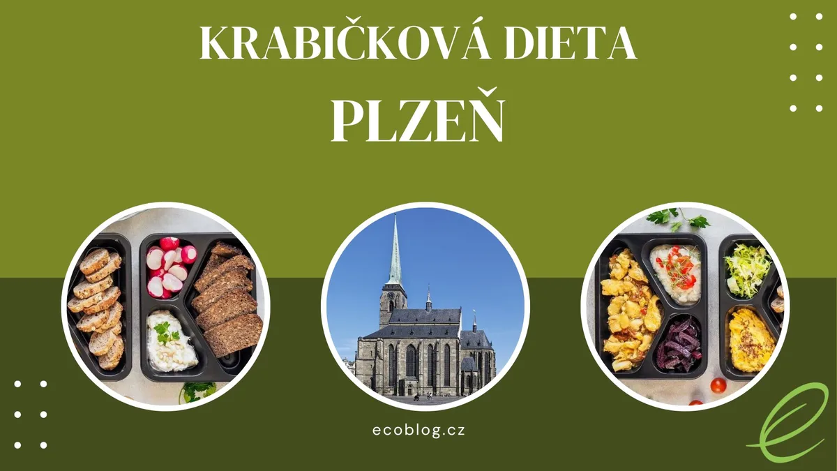 Krabičková dieta Plzeň 2026: srovnání nejlepších rozvozů a moje zkušenost