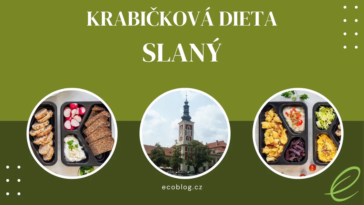 Krabičková dieta Slaný: TOP 6 srovnání podle mojí zkušenosti (2026)