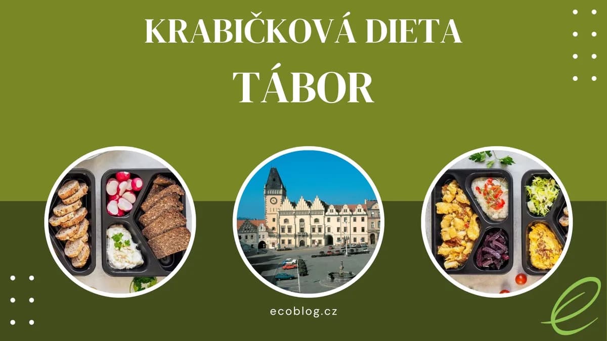 Krabičková dieta Tábor 2026: kterou rozvážku vybrat