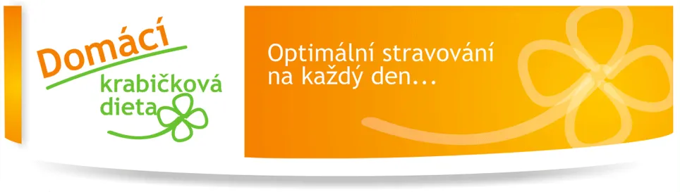 Domácí krabičková dieta Teplice, celodenní redukční menu za nízkou cenu