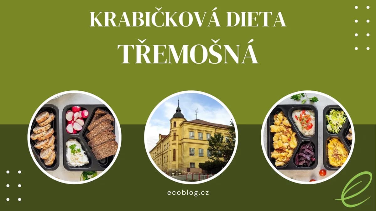 Krabičková dieta Třemošná: TOP 3 srovnání a moje zkušenost (2026)