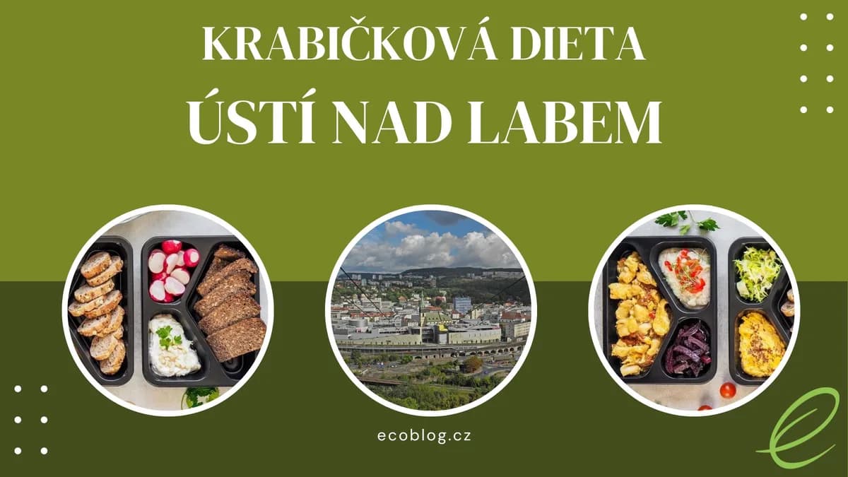 Krabičková dieta Ústí nad Labem: 8 firem v testu a srovnání (2026)