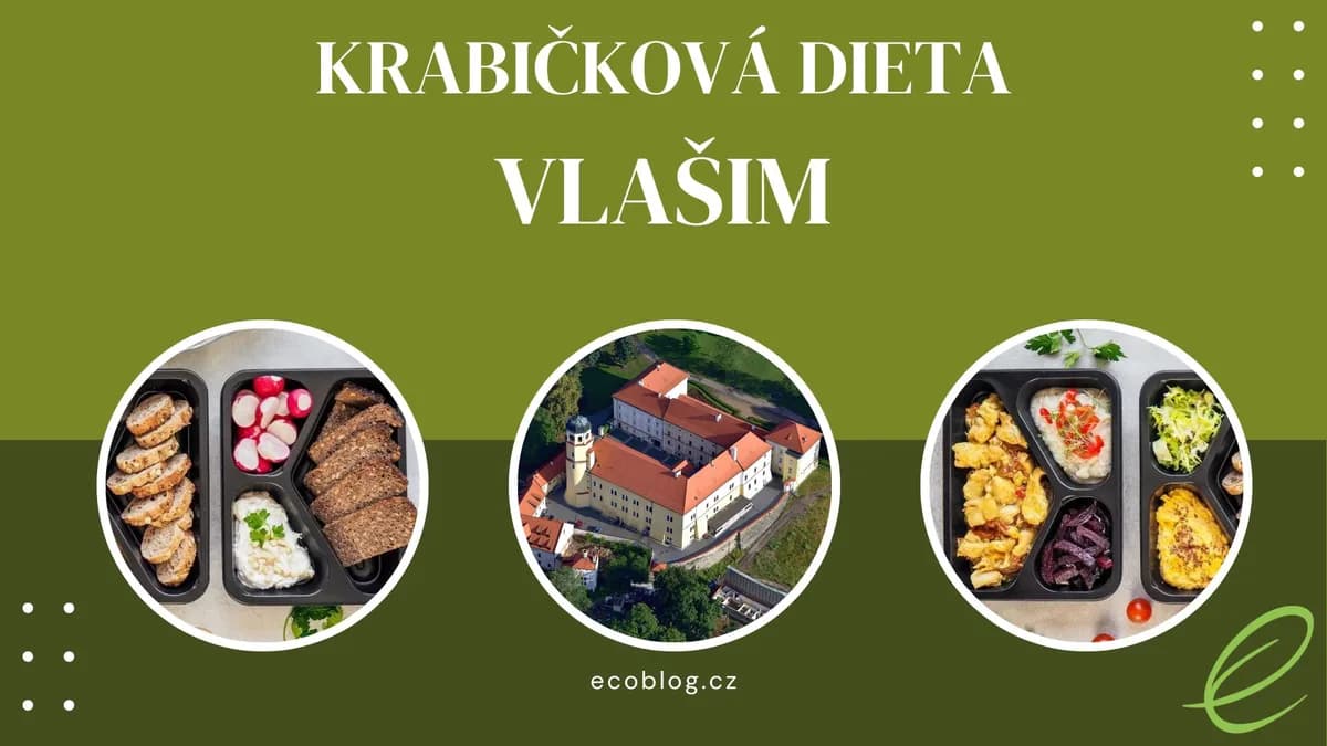 Krabičková dieta s rozvozem do Vlašimi: vyvážené porce zdravého jídla připravené na celý den