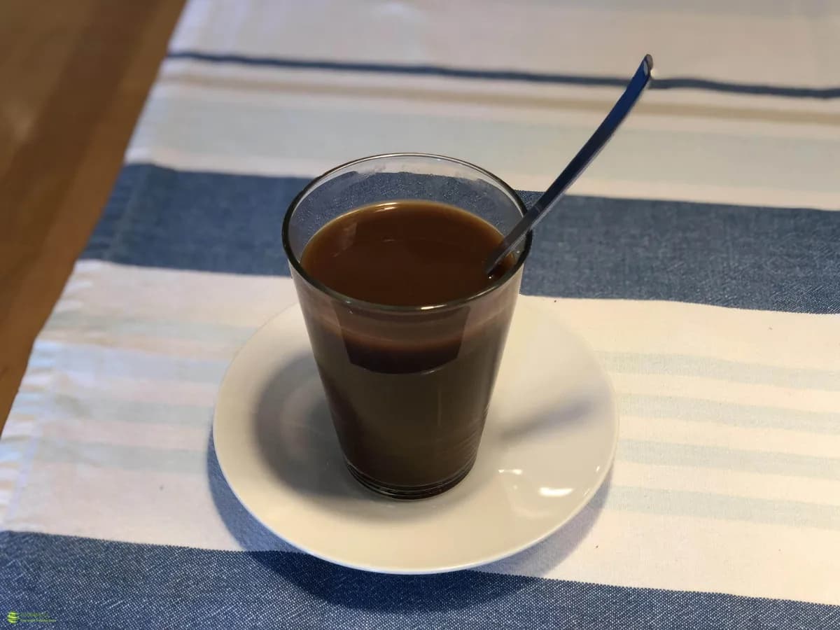 chaga: Jaké látky chaga obsahuje