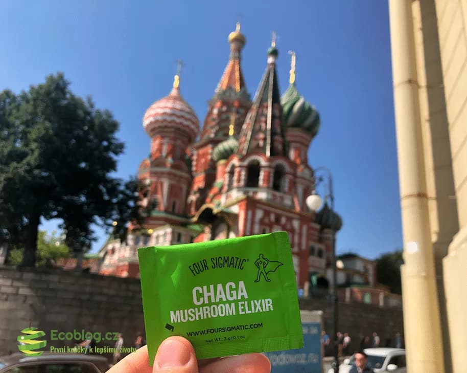 chaga: Na co si dát pozor (vedlejší účinky a opatrnost)