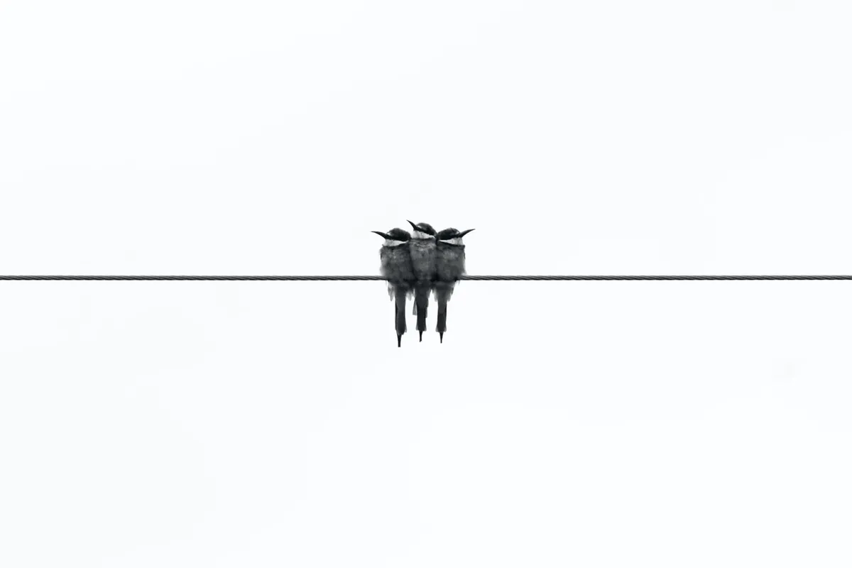 Minimalisticky zařízený obývací pokoj s pár funkčními kusy nábytku