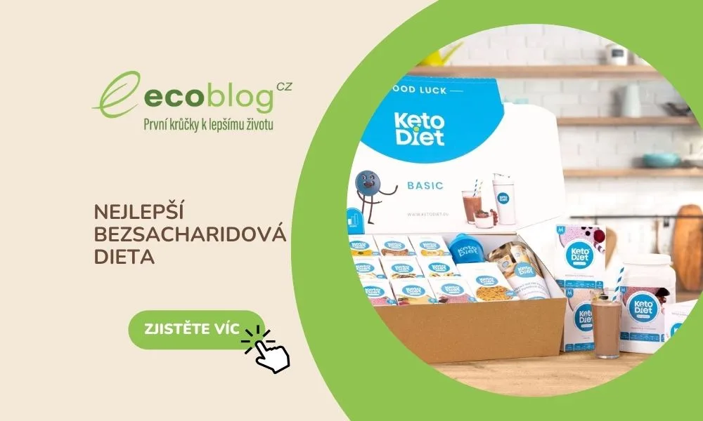 Nejlepší bezsacharidová dieta 2026: srovnání 3 keto dietních programů