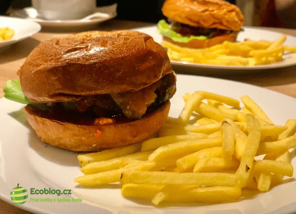 Burger s hranolky z restaurace Babeta v Brně