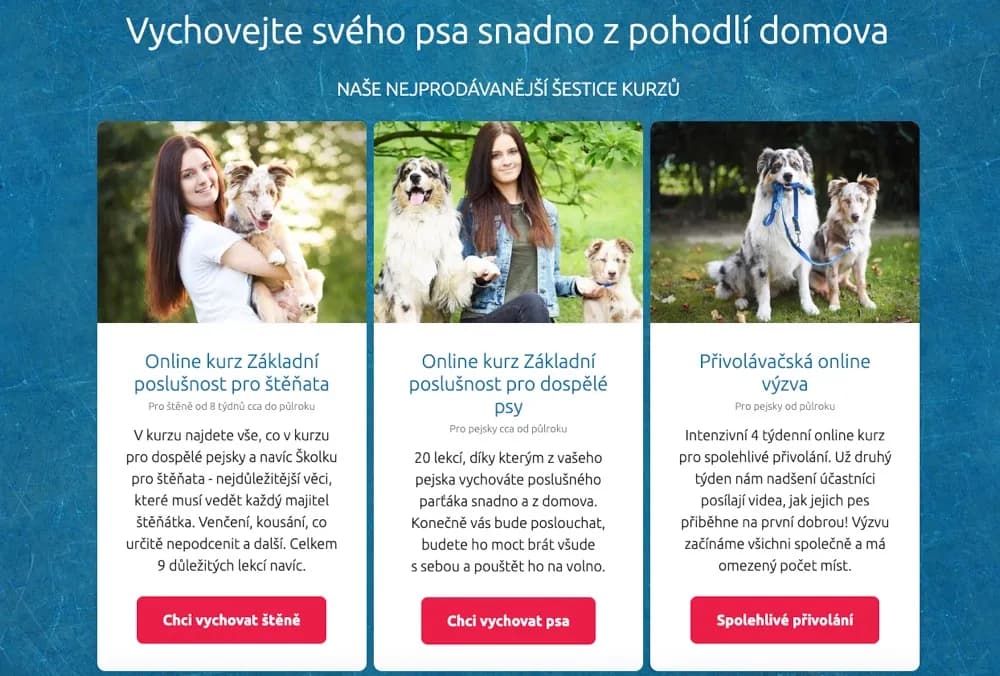 Online psí škola, recenze a moje zkušenost s kurzy výcviku psa