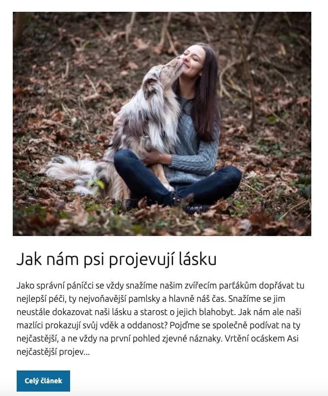 Lekce kurzu Základní poslušnost v prostředí Online psí školy