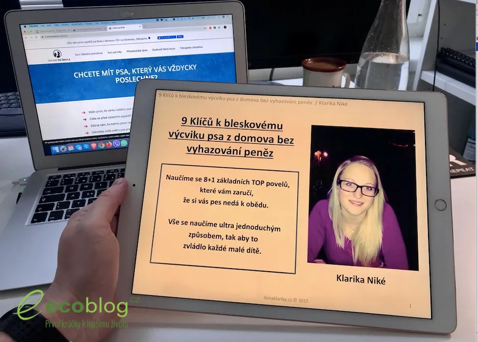Online psí škola: Klady a zápory