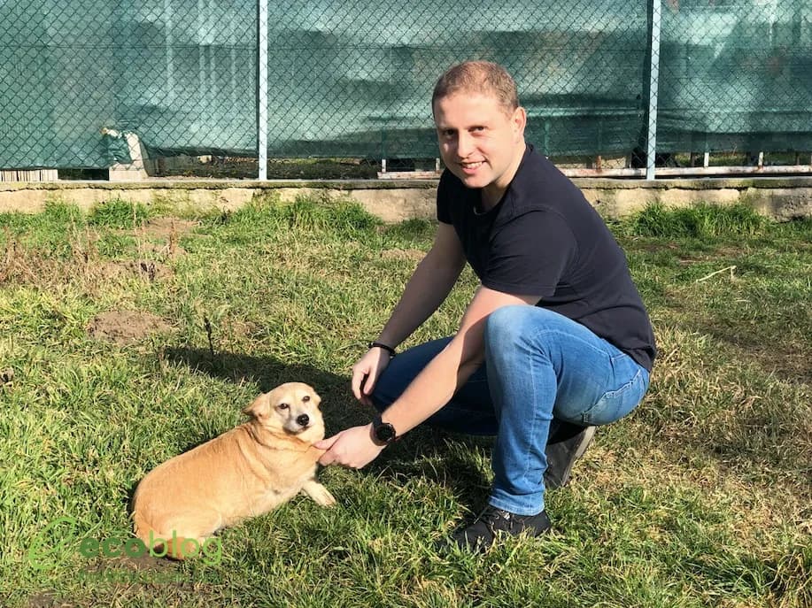 Výcvik psa pomocí klikru podle kurzu Základní poslušnost
