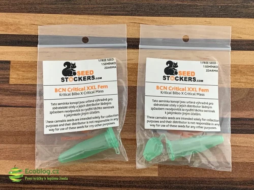 CBD olej Enecta 10 % jako součást každodenní rutiny