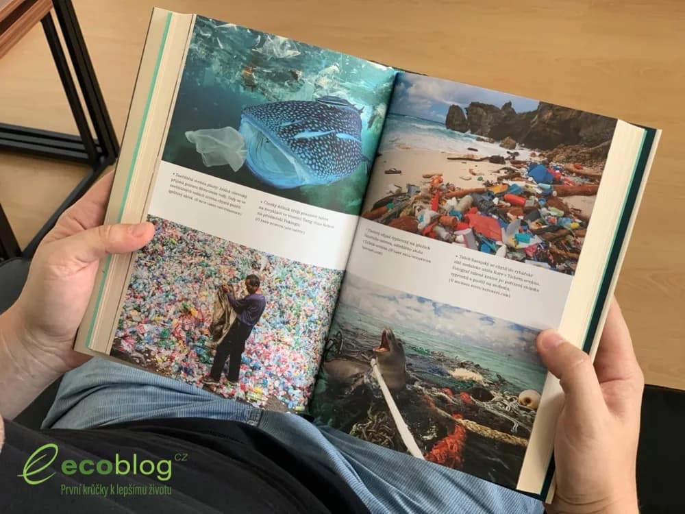 Detailní pohled na přírodu z dokumentu Život na naší planetě