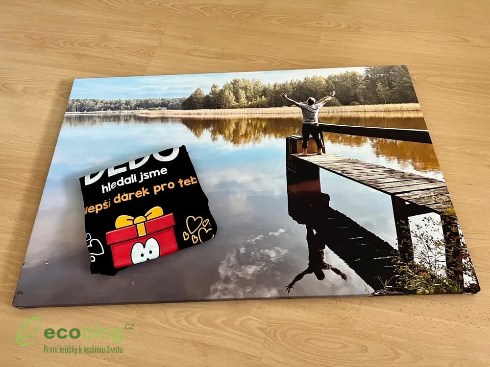 Lemurák recenze 2026: moje zkušenost s fotoobrazem a tričkem