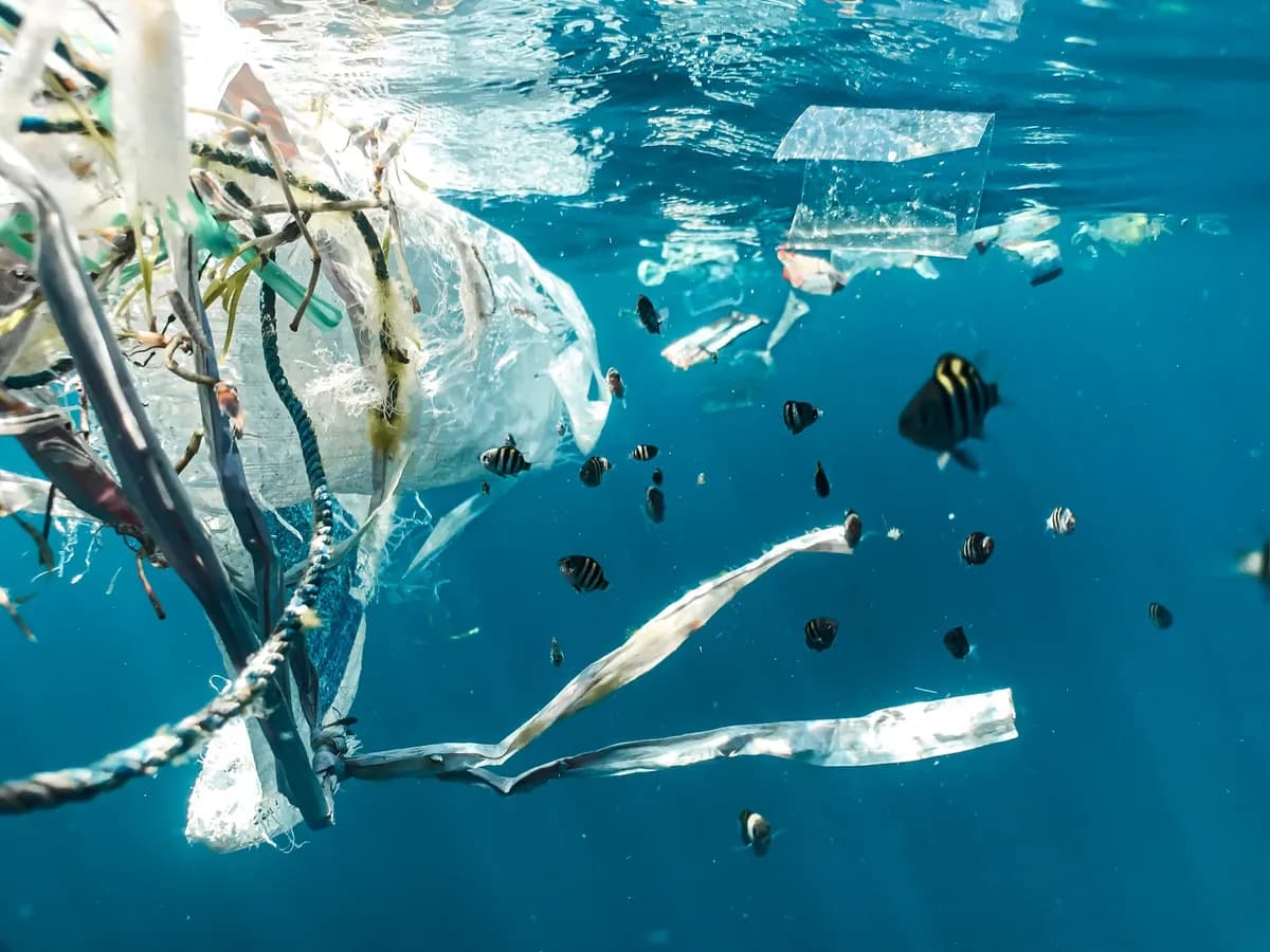 Plastový odpad plovoucí na hladině oceánu v dokumentu A Plastic Ocean