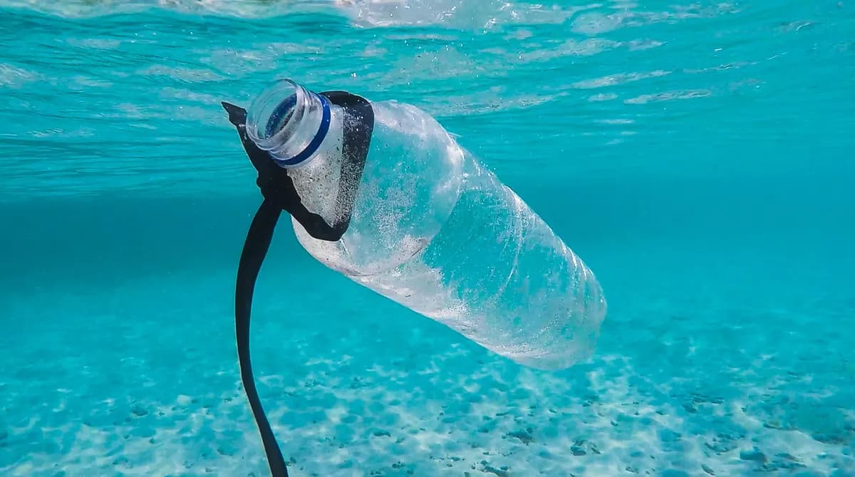 Tým vědců zkoumá vzorky vody kvůli mikroplastům v dokumentu A Plastic Ocean