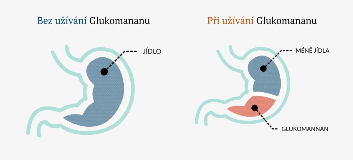 ReduXin FORTE: Důležité na úvod: spalovač není kouzlo