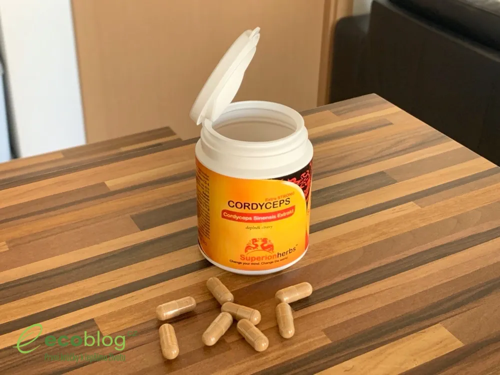 Jedna kapsle Cordyceps od Superionherbs jako denní dávka