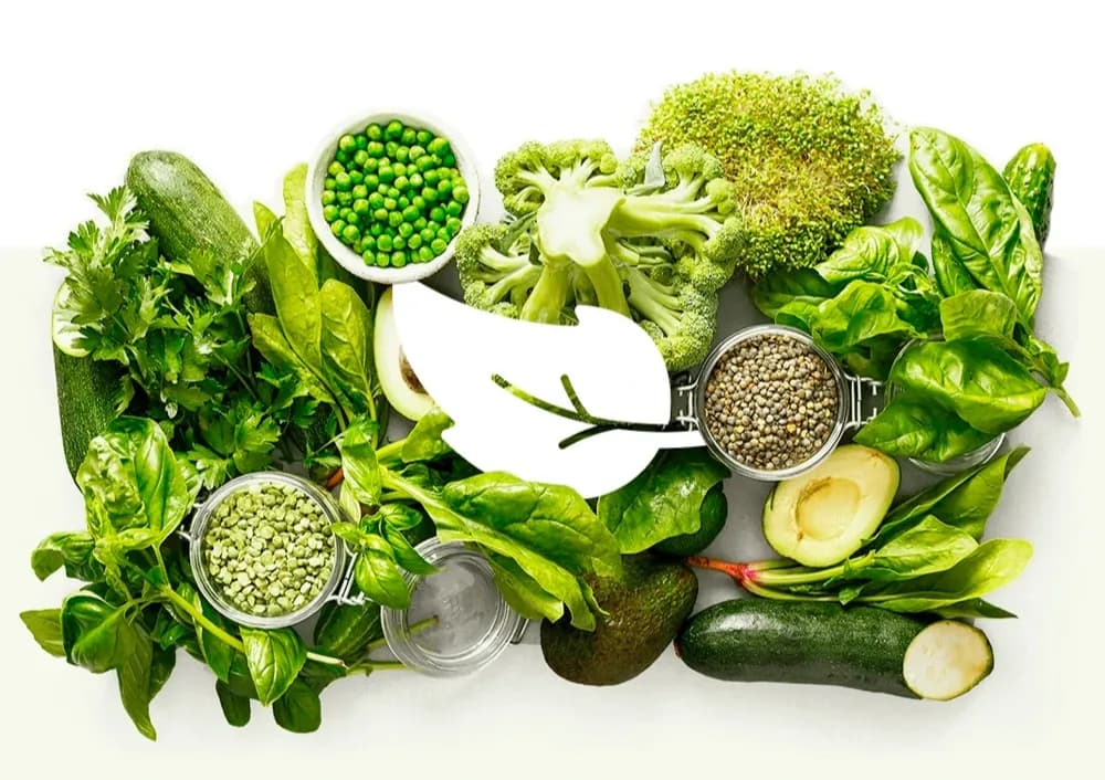 Veganus: Krátký verdikt: stojí Veganus za to