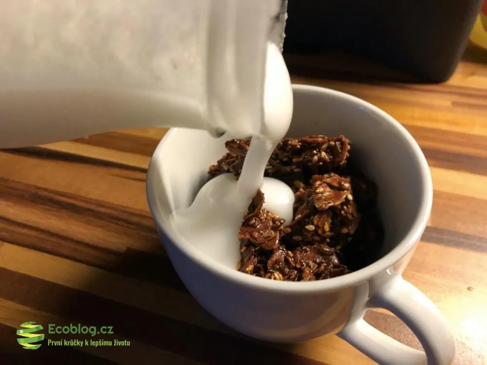 Wild & Coco granola s kokosovým kefírem v misce