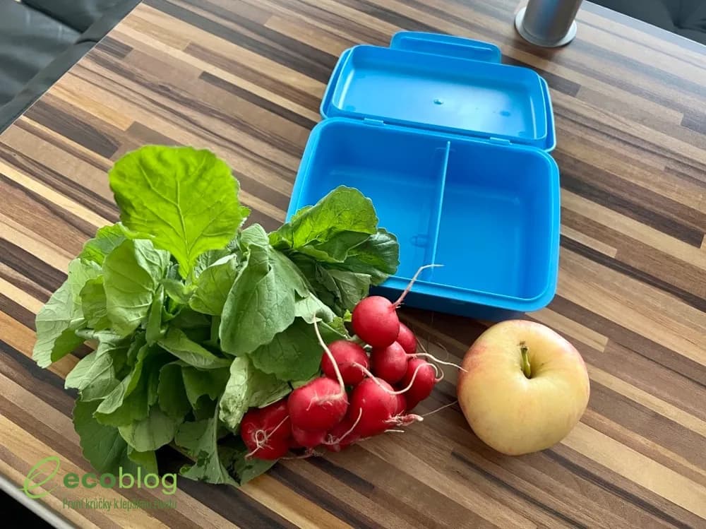 Zdravá sváča box na svačinu, materiál bez toxických látek