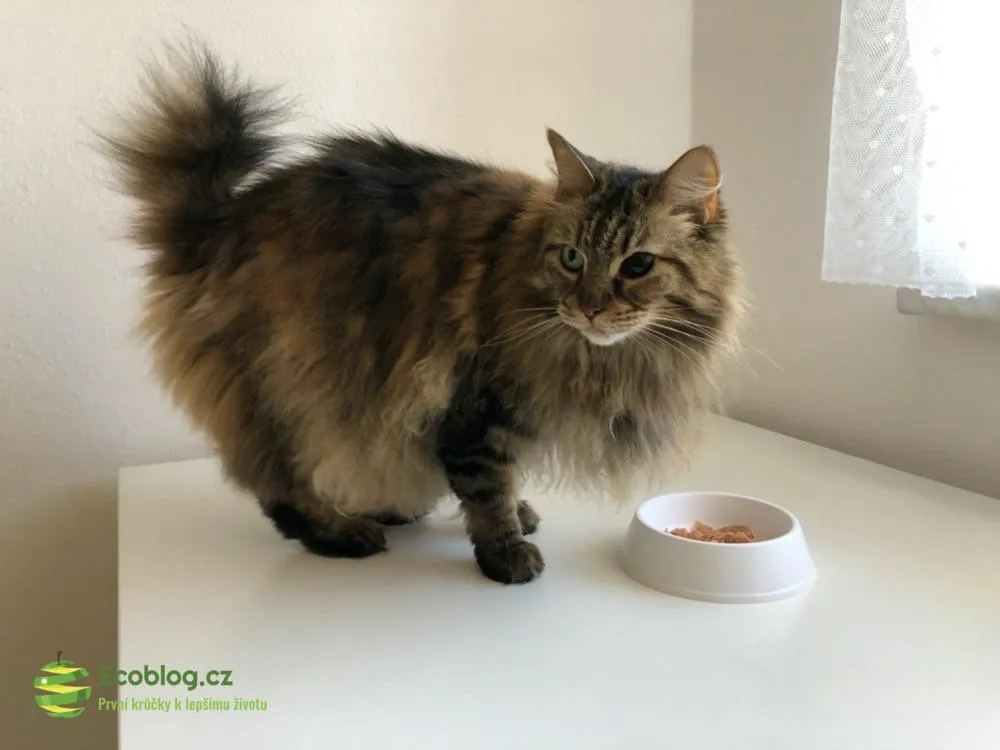 Pamlsky Pedigree Schmackos pro psy z e-shopu Zoohit