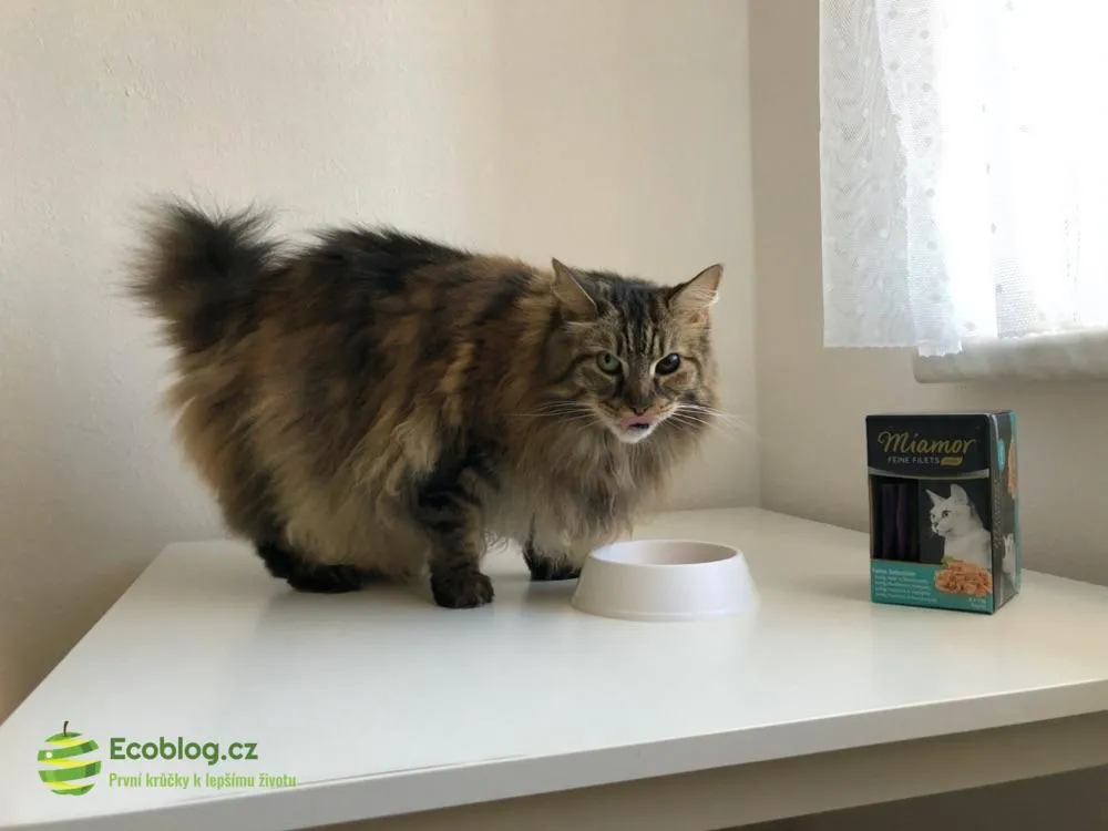 Zoohit: Klady a zápory z mého nákupu