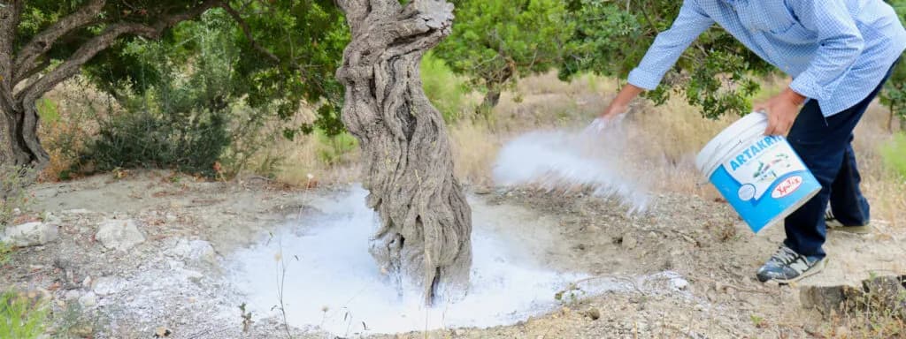 Chioská masticha v kapslích z testu na Ecoblogu