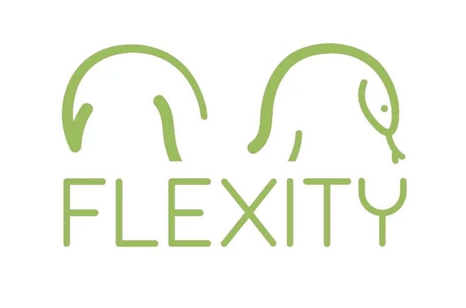 flexity zinzino recenze a zkušenost