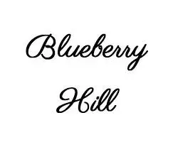 Blueberrry Hill recenze, zkušenost, test